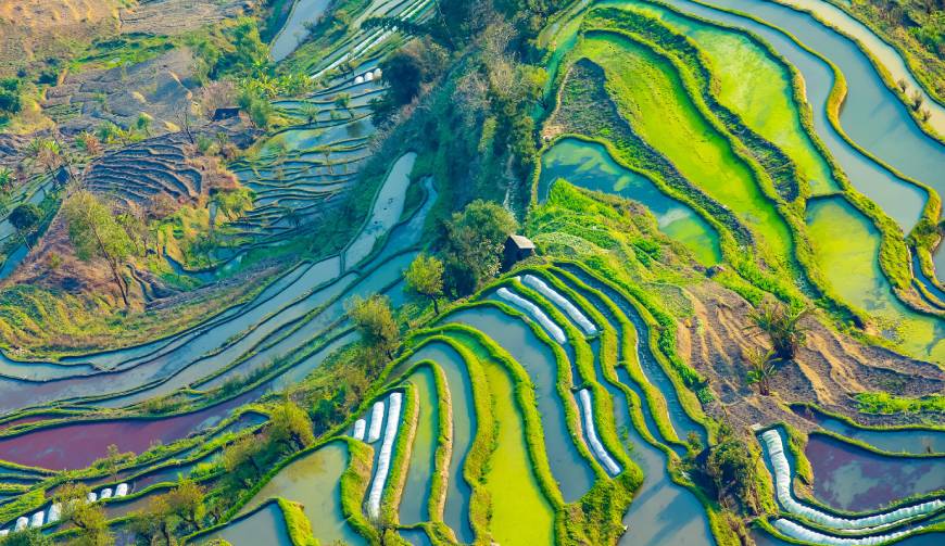 宝妈必备神器：綦江区产品视频拍摄轻松育儿好帮手